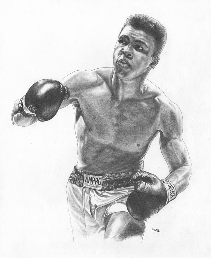 Cassius Drawing by JWB Art Unlimited - Fine Art America