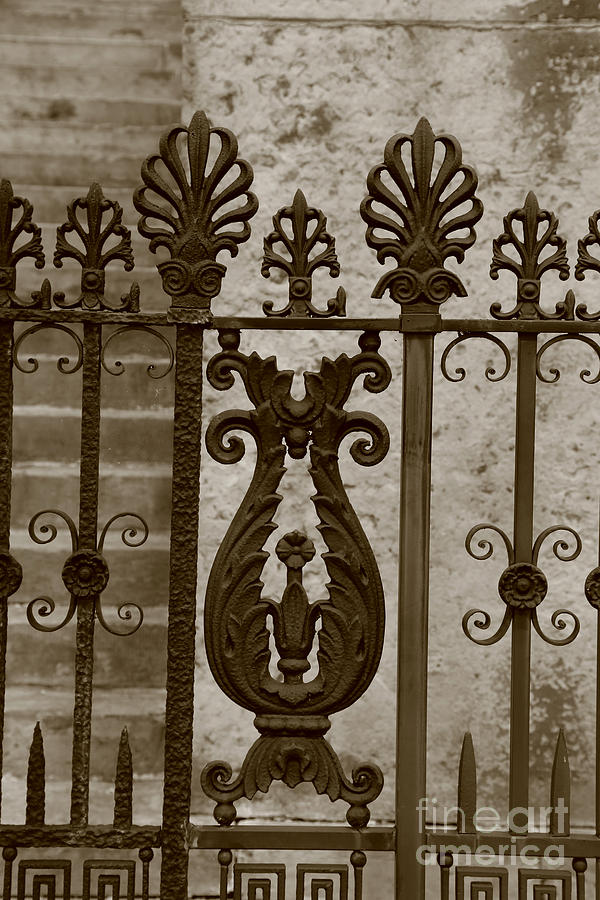 Black And White Photograph - Cast Iron fence by Dwight Cook