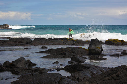 Cast Net Fishing in Hawaii Photograph by Venetia Featherstone-Witty