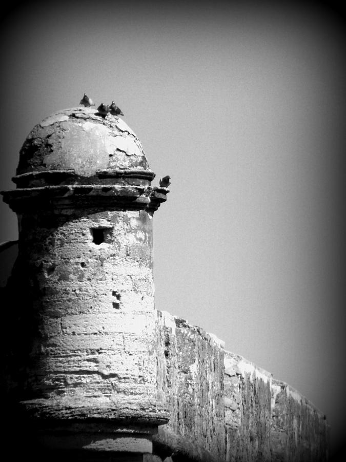 Castillo de San Marcos B W 1 Photograph by Sheri McLeroy
