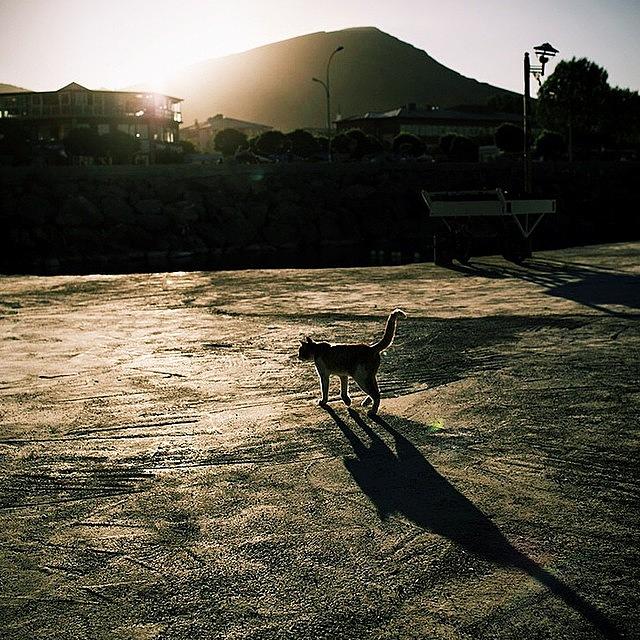 Turkey Photograph - Casting A Long Shadow. Tatvan, #turkey by David  Hagerman