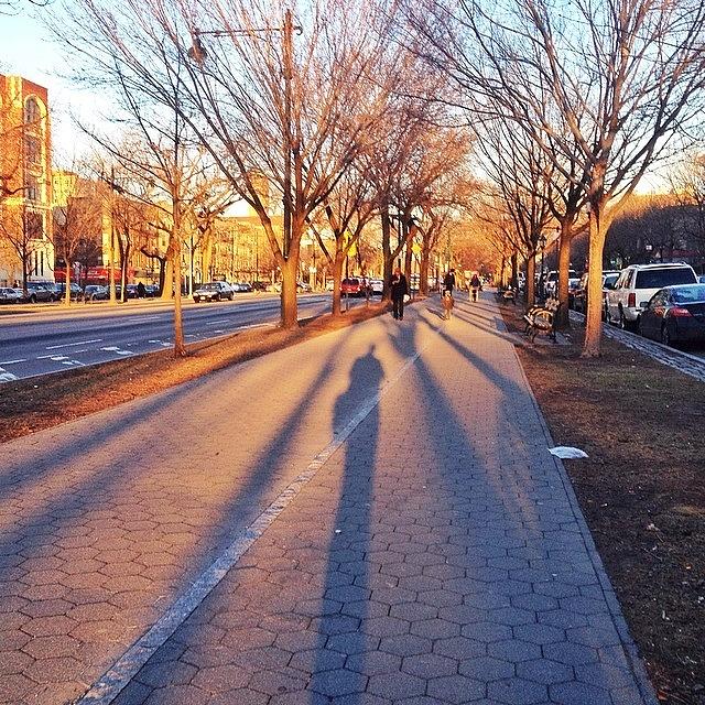Casting A Long Spring Sunset Shadow On Photograph by Hillary Weiss