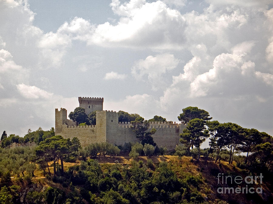 Castle And Olive Grove Photograph by Tim Holt