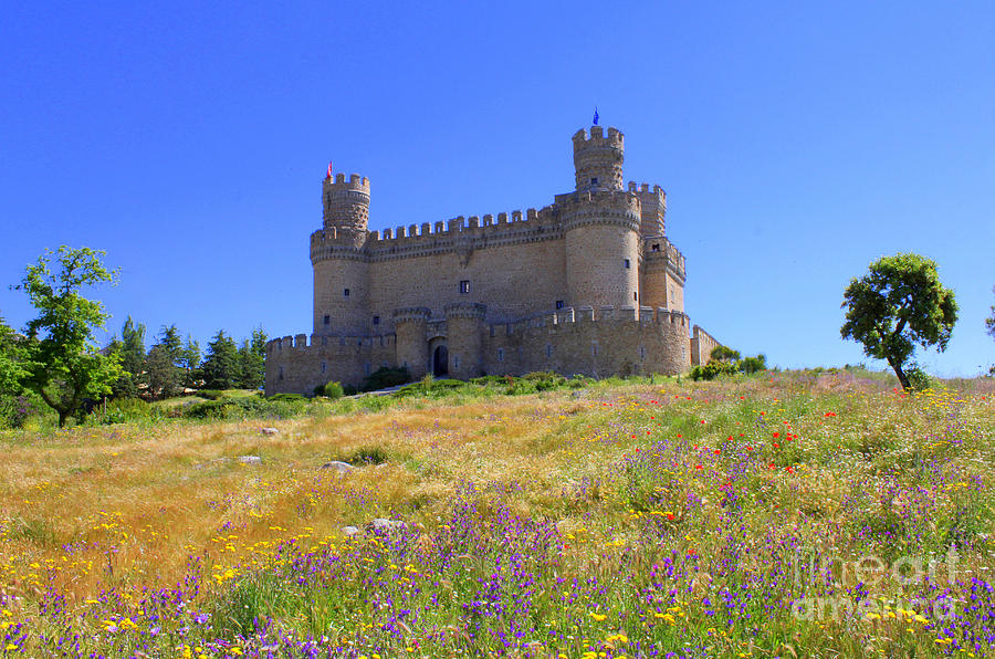 Castle and Wild Flowers Photograph by Nieves Nitta