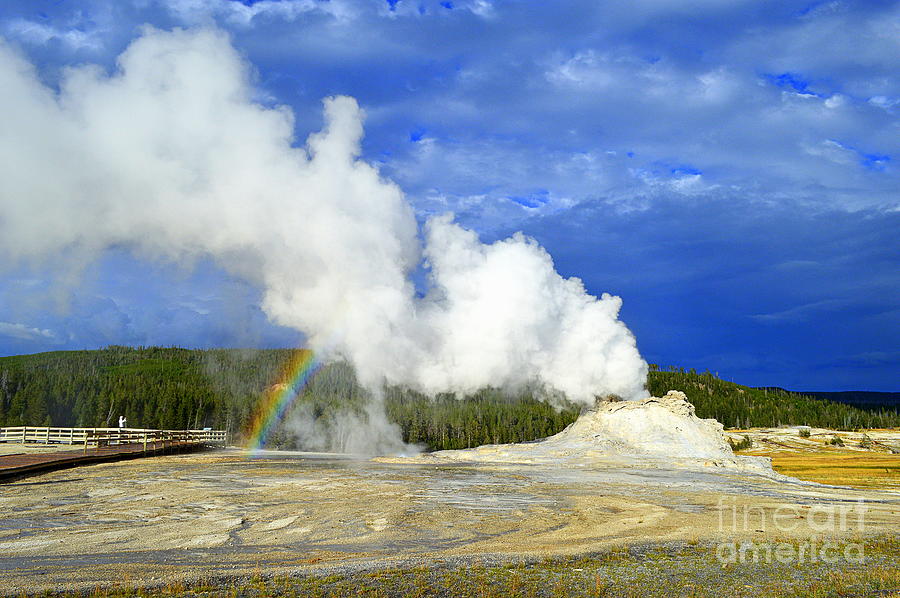 Castle Geyser Erupting With Rainbow in Yellowstone Photograph by Catherine Sherman