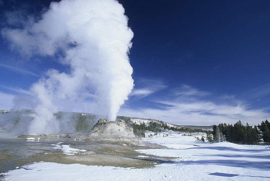 Castle Geyser Erupting Yellowstone Photograph by Martin Withers