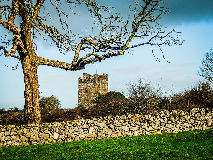 Castle in the Irish Countryside Photograph by James Truett