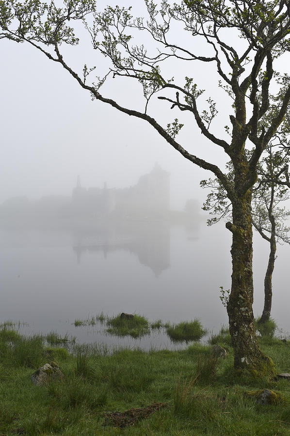 Castle Kilchurn tree Photograph by Gary Eason