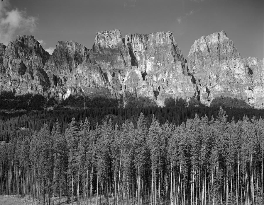 1M3337-BW-Castle Mountain  Photograph by Ed  Cooper Photography
