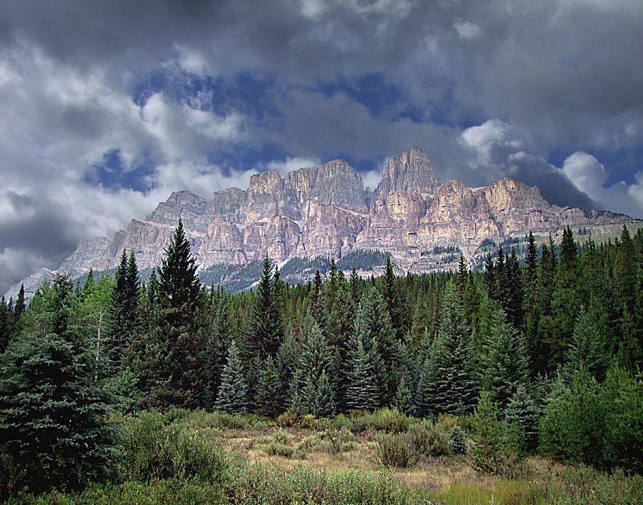 Banff National Park Photograph - Castle Mountain in Autumn by George Cousins