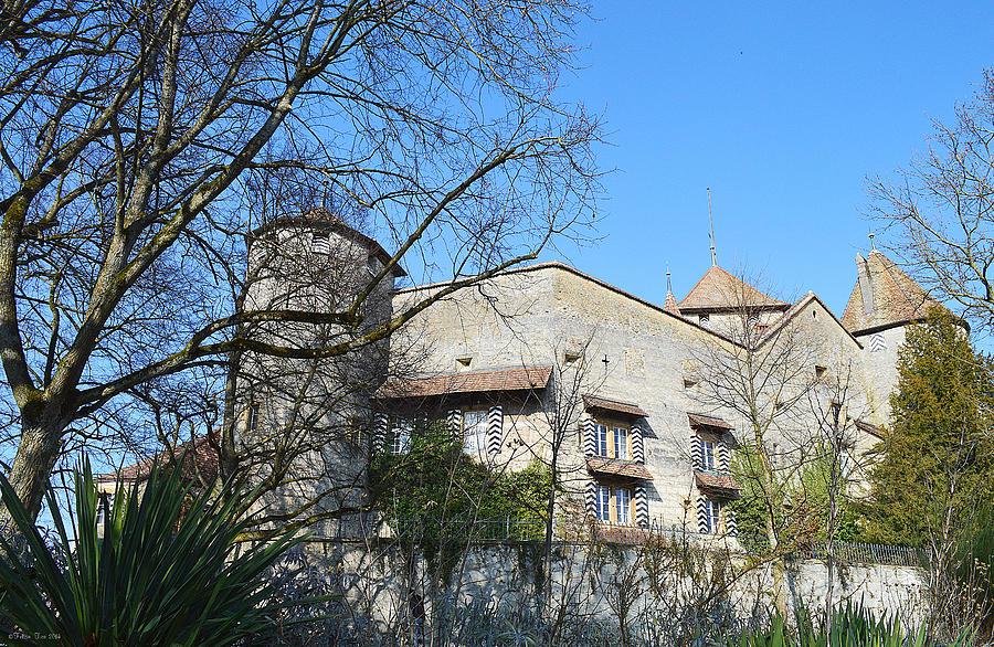 Castle Murten in Spring Photograph by Felicia Tica