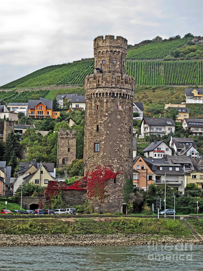 Castle of the Rhine Photograph by Elvis Vaughn