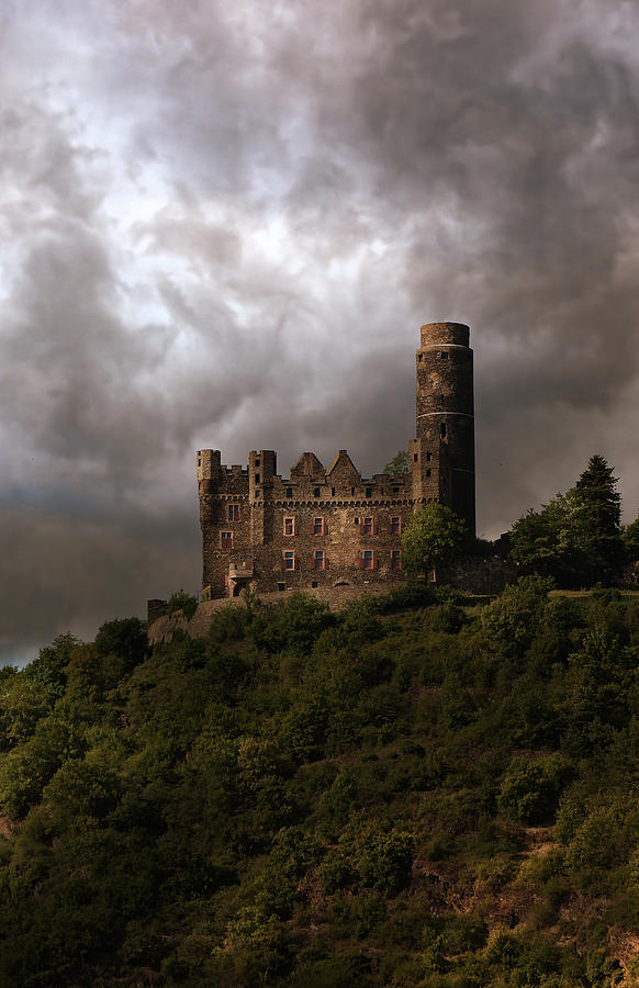 Castle on the hill Photograph by Jaroslaw Blaminsky