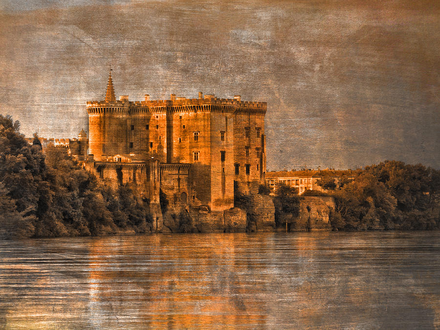 Castle on the Rhone Photograph by Bob Coates