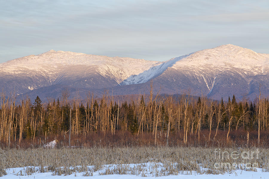 Landscape Photograph - Castle Ravine - Presidential Range New Hampshire by Erin Paul Donovan