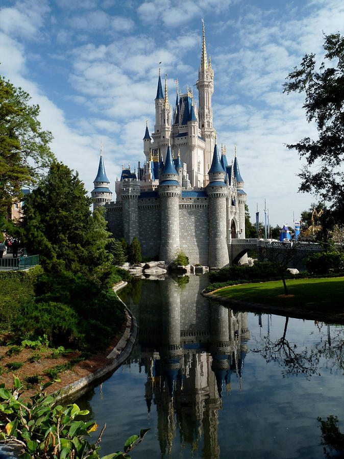 Castle Reflections Photograph by Nora Martinez