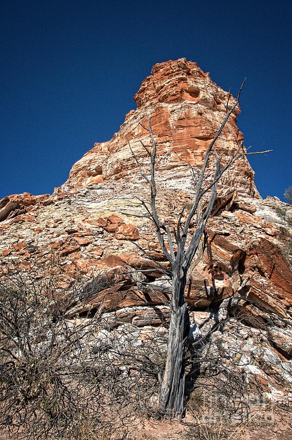 Castle Rock and Burnt Mulga Tree Photograph by Peter Kneen