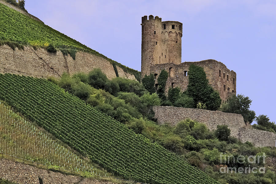 Castle Ruins and Vineyard Photograph by Elvis Vaughn