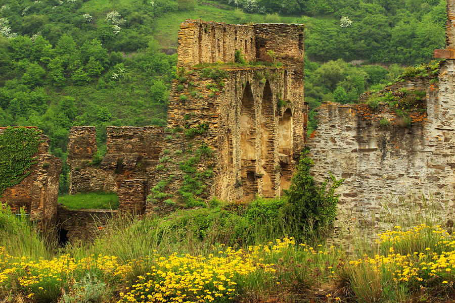 Castle Photograph - Castle Ruins and Yellow Wildflowers by Greg Matchick