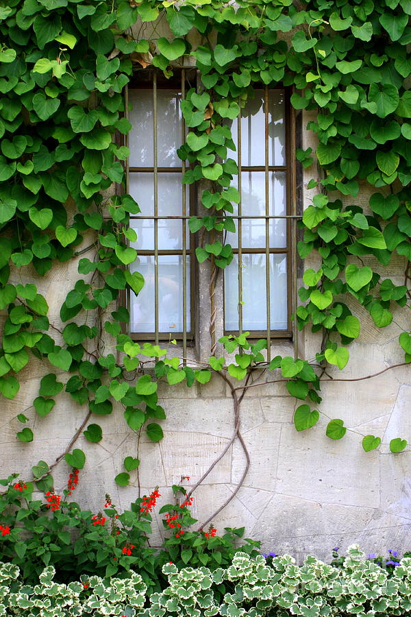 Castle Window in Germany Photograph by Carol Groenen