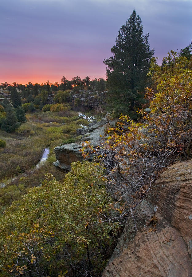 Castlewood Spring Dawning Photograph by Morris McClung