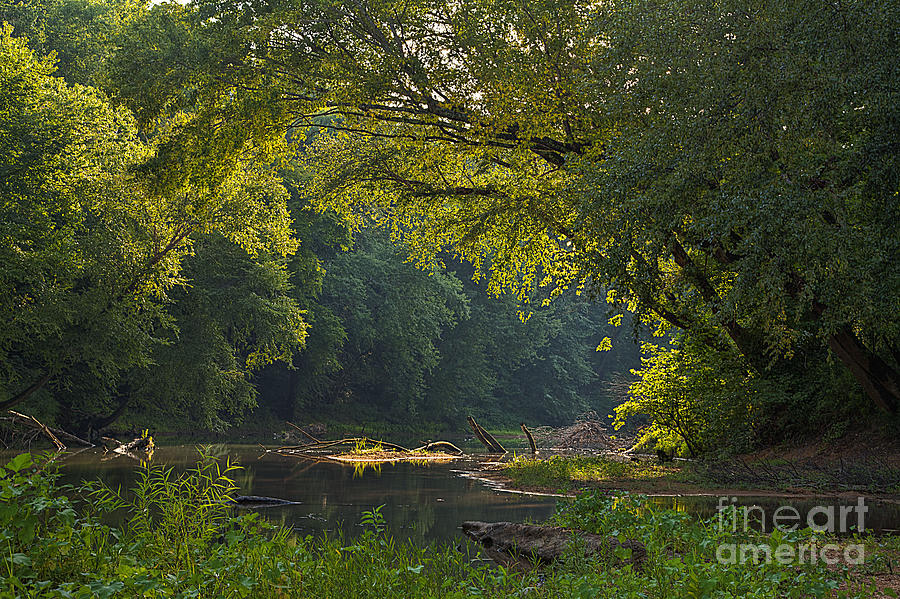 Tree Photograph - Castor River in the Evening by Larry Braun