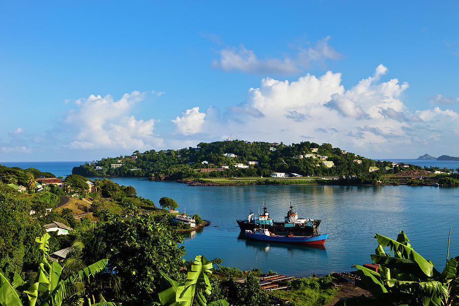 Castries Harbor, Saint Lucia Photograph by Flavio Vallenari