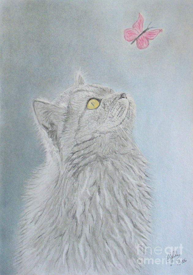 Cat and butterfly Drawing by Cybele Chaves