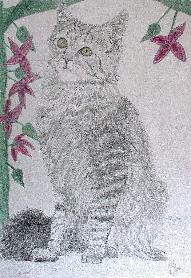 Cat and Flowers Drawing by Cybele Chaves