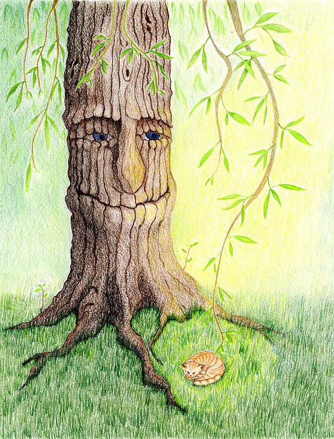 Cat and Great Mother Tree Drawing by Keiko Katsuta