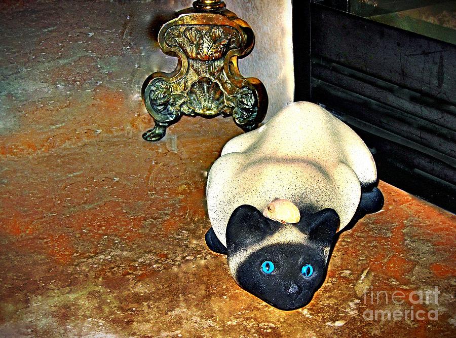 Cat Photograph - Cat and Mouse by Phyllis Kaltenbach