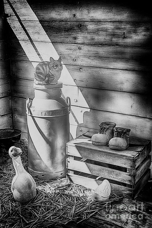 Cat and the Churn 2 Black and White Photograph by Chris Thaxter