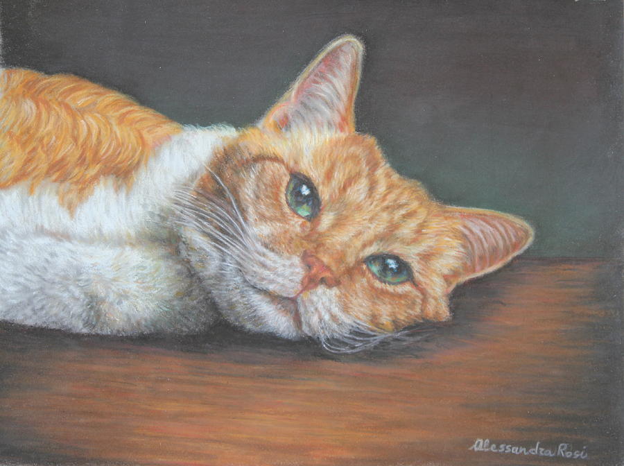 Ginger Cat Painting - Cat Art - Orange Tabby Cat - Do not disturb me by Alessandra Rosi