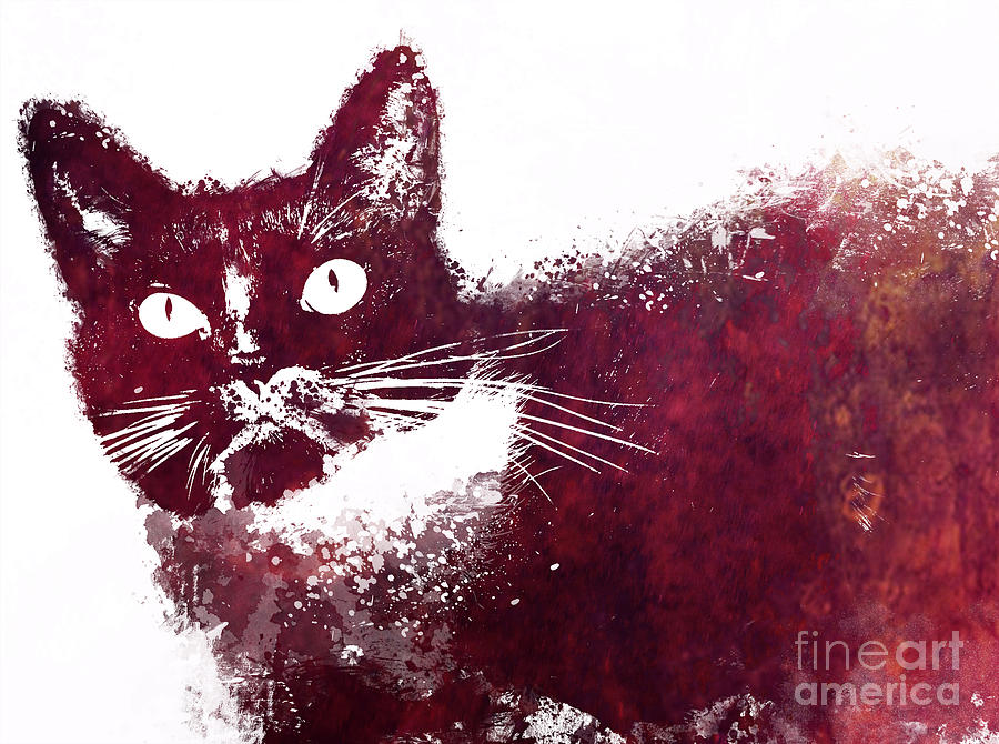 Cat Digital Art - Cat Benny by Justyna Jaszke JBJart