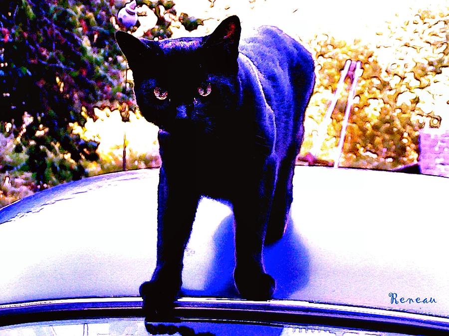 Cat Burglar Photograph by A L Sadie Reneau