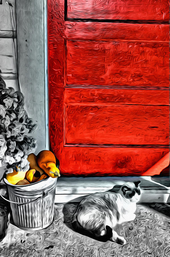 Cat by the Red Door Photograph by Spencer Hughes
