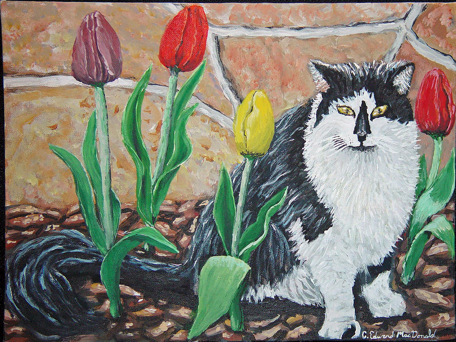 Cat by the tulips  Painting by Carey MacDonald