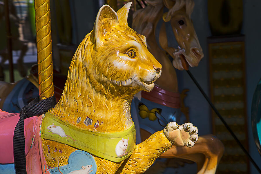 Fantasy Photograph - Cat carrousel ride by Garry Gay