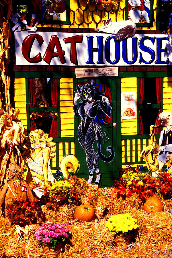 Cat Cat House Photograph by Paul W Faust -  Impressions of Light