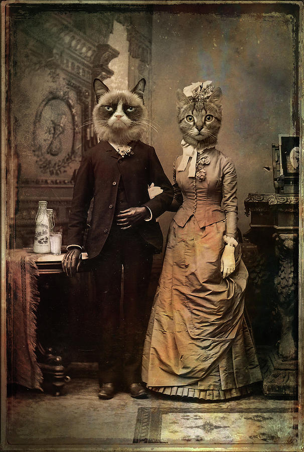 Cat Photograph - Cat Couple by 