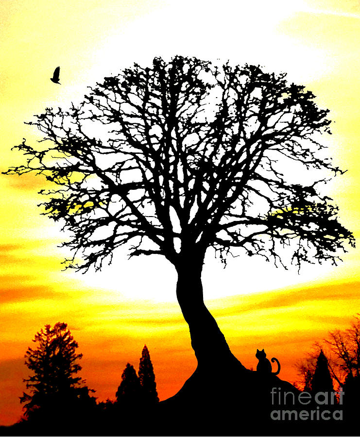 Cat Crow and Sunset Tree Photograph by Nick Gustafson