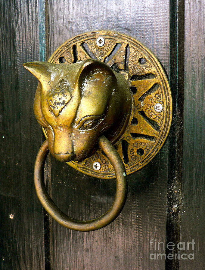 Cat Door Knocker  Photograph by Jean Wright