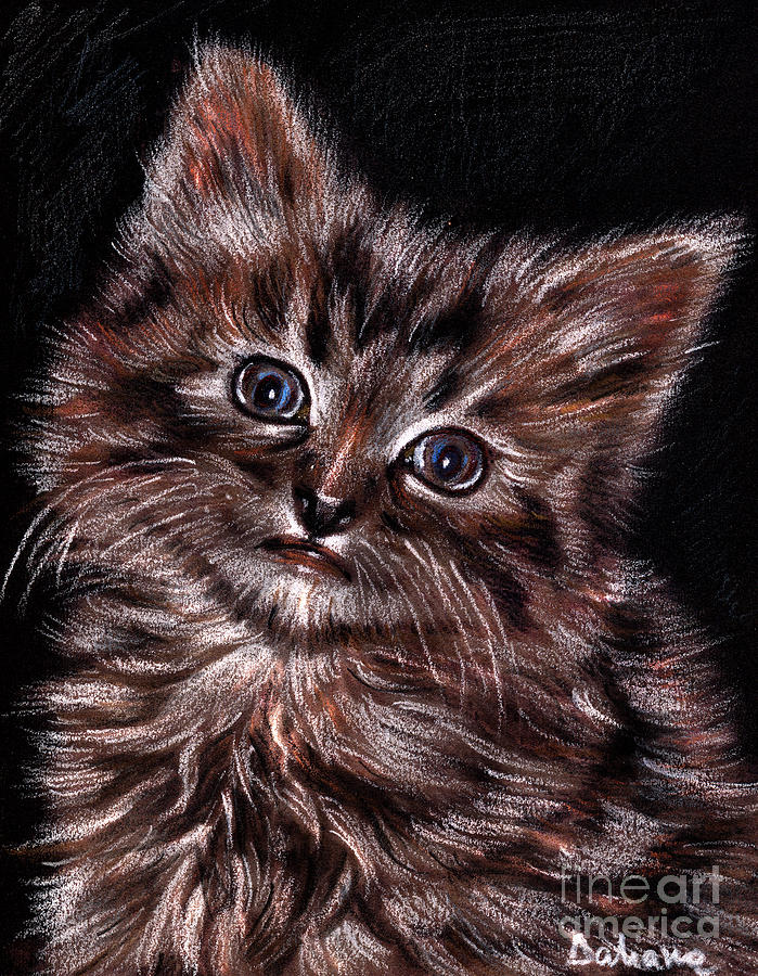 Animal Drawing - Cat drawing portrait by Daliana Pacuraru
