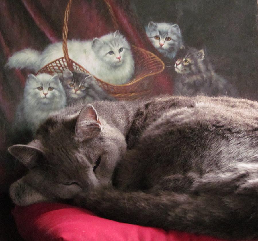 Cat Dreams Painting by Susan Voidets
