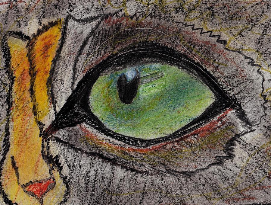 Cat Drawing - Cat Eyes by Isabela Gribincea