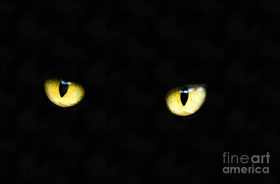 Cat eyes Painting by Vincent Monozlay