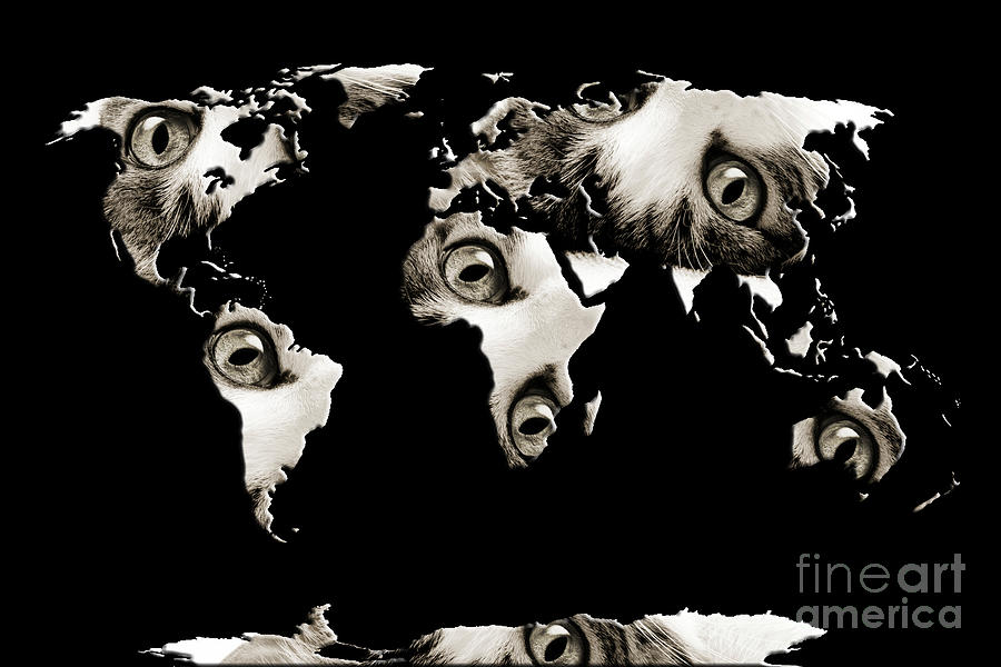 Cat Eyes World Map Photograph by Andee Design