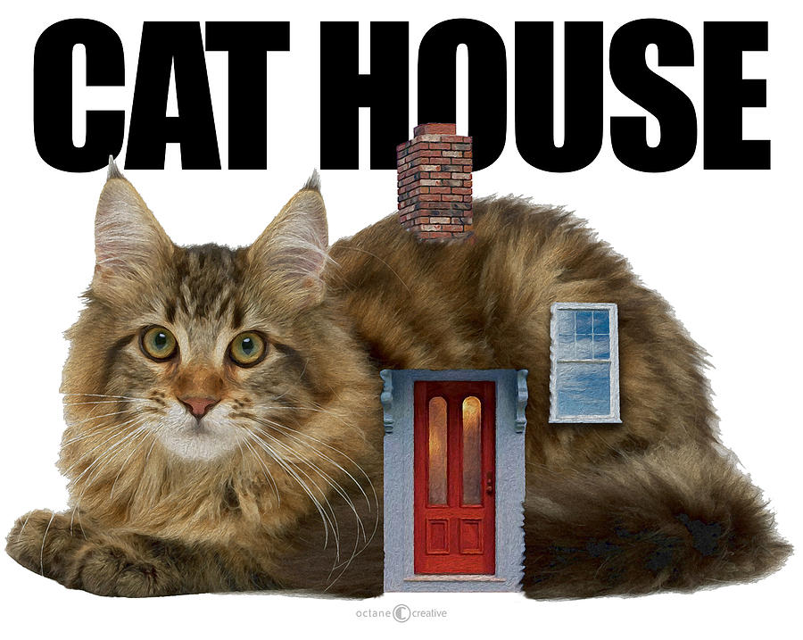 Cat House Digital Art by Tim Nyberg