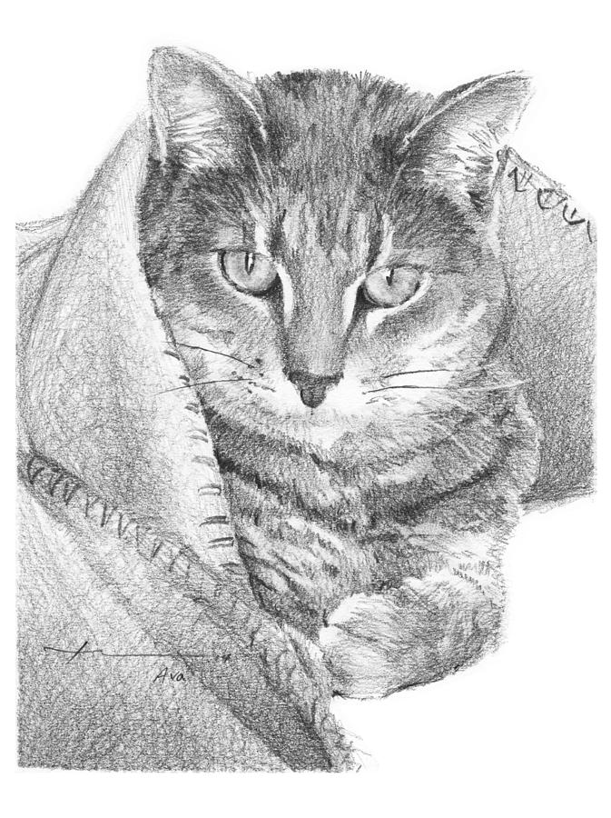 Cat In A Blanket Pencil Portrait Drawing by Mike Theuer Cat In A Blanket Pencil Portrait Drawing by Mike Theuer