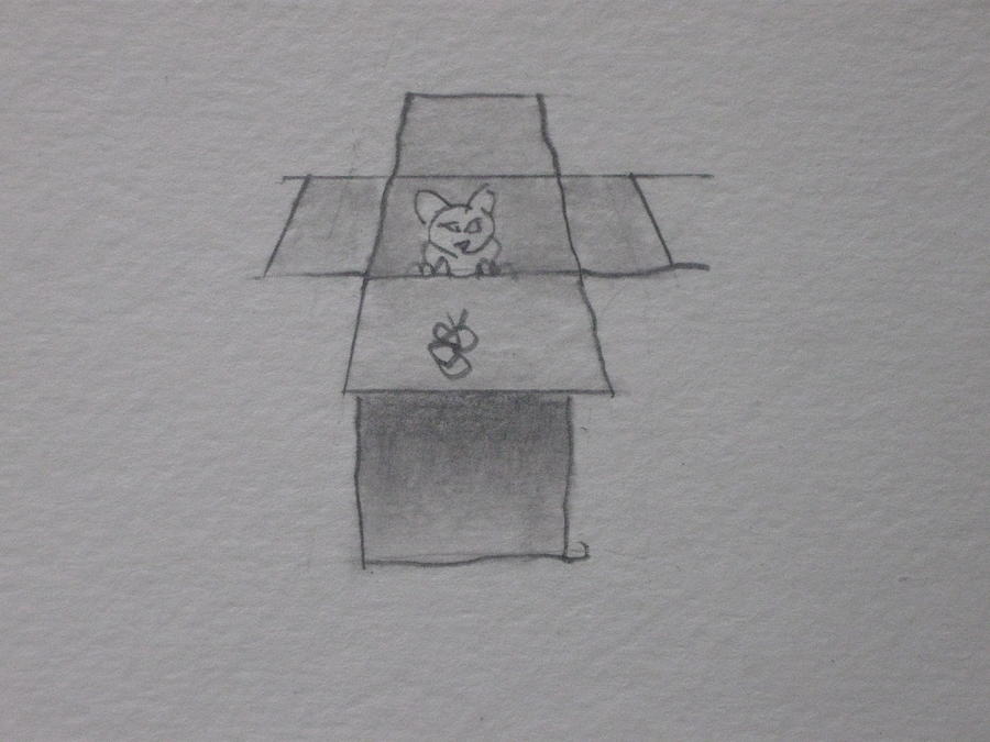 Cat in a Box Drawing by AJ Brown